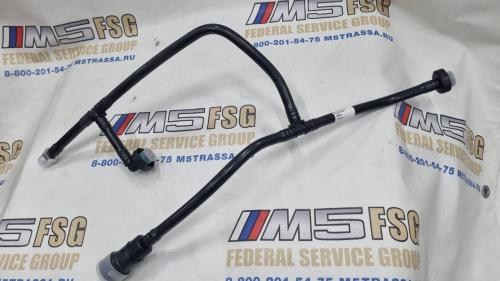 photo_1_2025-12-23_13-49-52