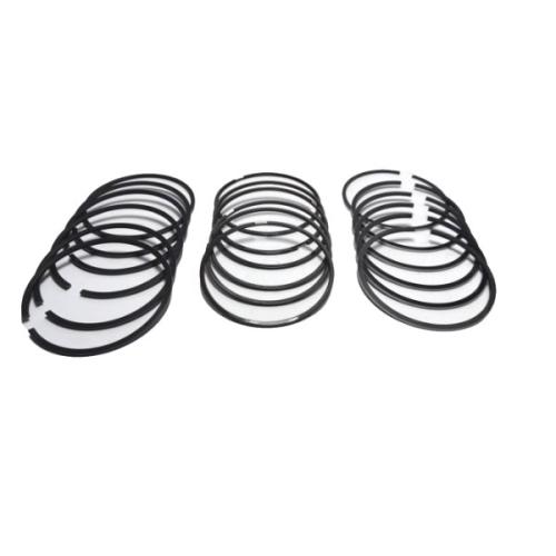 photo_2025-01-24_10-03-17